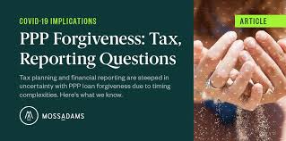The information in this page is based on laws, rules, regulations, and related guidance with respect to. Tax Planning And Reporting Questions With Ppp Forgiveness