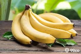 Terlebih lagi ketika menikmati pisang goreng ditemani dengan segelas minuman. 9 Jenis Pisang Yang Paling Populer Di Indonesia Plus Cara Mengolah