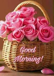 Good Morning Flower Images Download Best Good Morning Flowers Status Beautiful Good Morning Wall Beautiful Rose Flowers Pink Roses Pink Flowers