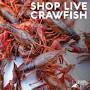 Live crawfish wholesale prices from www.acadiacrawfish.com