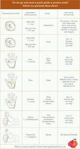 Portion Size With Daily Serving Suggestions Food