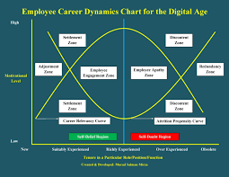 An Overview Of The Employee Career Dynamics In The Digital Age