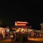 Wayne County Fair II