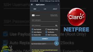 En un ratito largo con vps de 7 días para apk custom. Configurar Apk Custom Vpn Para Tener Internet Gratis En Claro Wap