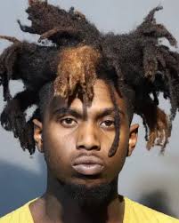 TERRENCE ORR booked 20241121