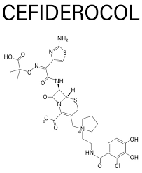 Image result for Cefiderocol