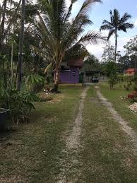 About homestay janda baik (rumah bonda). Di Sini Inap Desa Chalet Janda Baik