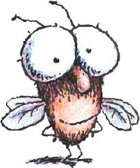 Includes crafts, worksheets, interactive notebook pages and so much more! Fly High Fly Guy Coloring Pages
