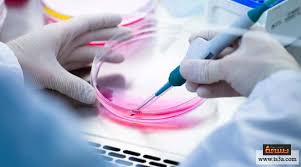 This 3d medical animation features a dermatological reconstructive procedure in which stem cells are implanted in the extracellular matrix to repair skin defects. ÙÙÙ Ø£ØµØ¨Ø­Øª Ø§ÙØ®ÙØ§ÙØ§ Ø§ÙØ¬Ø°Ø¹ÙØ© Ø£ÙÙØ§ ÙØ¹ÙØ§Ø¬ Ø§ÙØ¹Ø¯ÙØ¯ ÙÙ Ø§ÙØ£ÙØ±Ø§Ø¶ Ø§ÙÙØ³ØªØ¹ØµÙØ© ØªØ³Ø¹Ø©