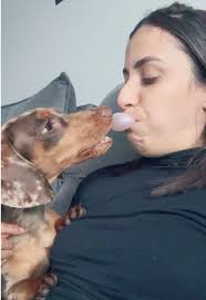 Nova habilidade desbloqueada KKKK #chiclete #bola #funny #cachorro #dog #pet