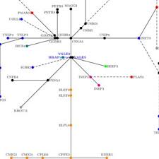 Check spelling or type a new query. Pdf A Map Of The Brazilian Stock Market