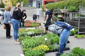 Záplava nádherných květů právě vrcholícího léta i bohatý a atraktivní doprovodný program. Kudy Z Nudy Zahradnicke Trhy Na Vystavisti Flora Olomouc