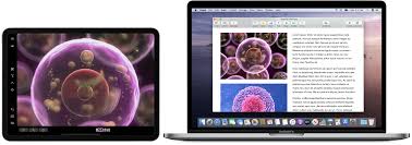 Use Your Ipad As A Second Display For Your Mac With Sidecar In 2020 Mac Desktop Ipad Apple Support