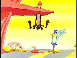 Wile E Coyote And The Road Runner Wikipedia Young male runner with walking poles running through steep cliff. wile e coyote and the road runner