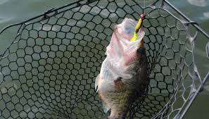 Lake jordan winter fishing report. Crappie Fishing In Alabama Overlooked Hotspots Great Days Outdoors
