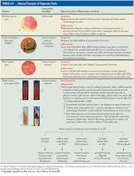 In animal cell culture the addition of serum to media is essential for providing mcq. Culture Media Types Of Culture Media Used For Growth Of Microbes Microbiology Notes Unit I Gpatindia Pharmacy Jobs Admissions Scholarships Conference Grants Exam Alerts