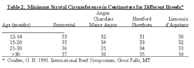 Cattle Today Age At Puberty And Scrotal Circumference Are