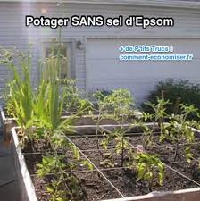 Pour perdre du poids avec ce sel, faites un bain bien chaud amincissant en ajoutant une cuillère à soupe. Voici Pourquoi J Utilise Du Sel D Epsom Dans Mon Jardin Et Mon Potager