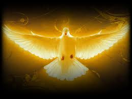 Best 47 Joseph Prince Background On Hipwallpaper Mary Joseph Birth Of Christ Wallpaper Joseph Morgan Vampire Diaries Wallpaper And Joseph Rocker Wallpaper The great collection of the little prince wallpaper for desktop, laptop and mobiles. best 47 joseph prince background on