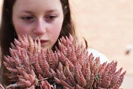 Centennial Citizen April 18, 2024 by Colorado Community Media