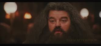 I love the internet 🤣 for my dear friend @RAINY #harrypotter #ytp  #youtubepoop #hagrid #middlefinger #fyp #fypシ #