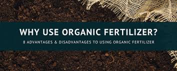 Only a few working examples ( agents not known for most pests). 8 Advantages And Disadvantages Of Using Organic Fertilizer