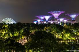 Daily cases are almost zero thanks to a robust contact tracing system, high levels of public compliance, and a broad foreign travel ban that is considered one of the strictest in the world. Destination Singapore Our Travel Guide Serialhikers Alternative Travel Blog