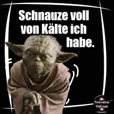 Schnauze Voll Von Kälte Ich Habe Humor Besinnliches Sprüche