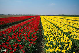 æ¥é¤èï¼å¤é¤å¿ï¼ç§é¤èºï¼å¬é¤èï¼ä½ åå°äºåï¼ - æ¯æ¥é ­æ¢