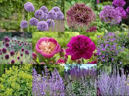 To keep a sunny flower garden colorful from spring through fall, you need to include a variety of perennials that bloom at different times during the growing season. Allium Garden Design Bountiful Blooms