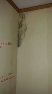 Image result for site:byggahus.se undersökningsplikt