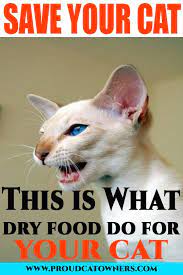 Does Dry Cat Food Go Bad Facts Dry Cat Food Cats Food Animals