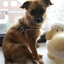 Maybe you would like to learn more about one of these? Kirsten Brokes Kbrokes Profil Pinterest