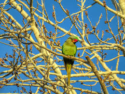 Dick Winchester in… The Cliffhanger, The Prequel