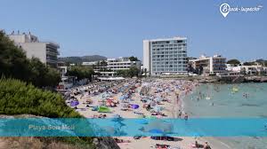 Cala ratjada,(cala rajada) capdepera, mallorca, guia fotos playas de cala ratjada, cala agulla, playa son moll, cala gat, hotel, transporte, actividades, taxi, bus, atracciones, excursiones. Urlaub In Cala Ratjada Was Muss Ich Alles Wissen