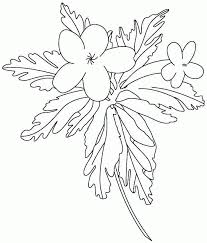 The mercurial judy moody will delight any kid who's known a bad mood or a bad day—and managed. Judy Moody Coloring Pages Coloring Home