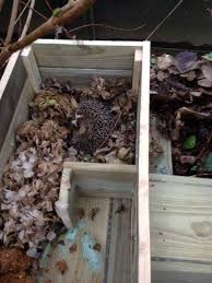 Haus Fur Tiere Bauen Wildes Gartenherz Igel Im Garten Garten Igelhaus Selber Bauen