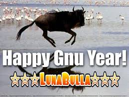 Buon Anno Umorismo Capodanno Immagini Divertenti Divertente