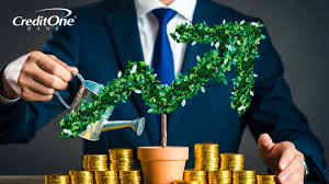 Why True Wealth Preservation Requires Necessary Risks | Credit One Ban