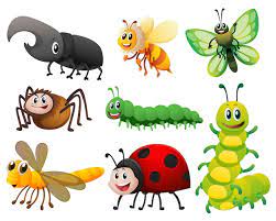 Premium Vector | Different kinds of small insects