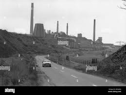 Image result for White 1990 Land O Lakes