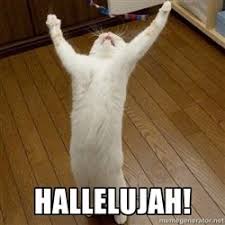 Oooooh I M Going To Write In Size 10 Font Oh My Funny Sports Pictures Minions Funny Images Humor