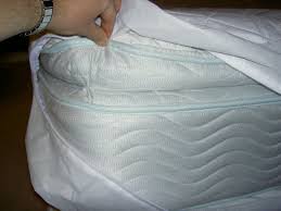 Mattress Covers For Bed Bugs Mattress Mattress Covers Bed Bugs