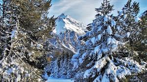 Nombre de pistes de ski de fond (ou domaine nordique). Val D Azun 100 Km De Circuits Et Boucles En Ski De Fond Toutes Les Pyrenees France Espagne Andorre