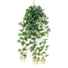 Buy ivy artificial plants at macys.com. China Varied Plastic Fake Grape Vines Plant Artificial Hanging Ivy Vines For Wall Decoration China Artificial Hanging Plants And Artificial Ivy Vines Price
