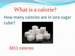 How many calories in sugar? How Many Calories Are In One Sugar Cube 3811 Calories What Is A Calorie Ppt Download