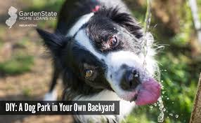 Similarly, a dog run is a smaller fenced area, created for the same use, that is often located within an existing. Diy Dog Park Build A Dog Park In Your Backyard Do It Yourself