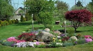 Check spelling or type a new query. Mantenimiento De Jardines Parques Y Zonas Verdes En General