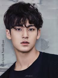 Your Ultimate Go To Guide For Your Kpop Idols Favorite Color Contacts Mingyu Seventeen Mingyu Seventeen Kpop