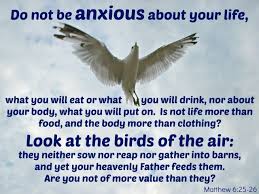 Birds Of The Air Bible Quote Matthew 6 25 26 Matthew 6 25 Matthews Catholic Quotes